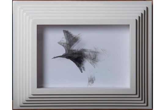 Battito d'ali - Mista - cm 44x55