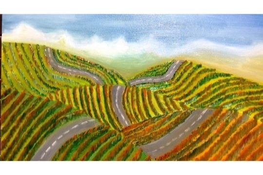 colline di Langa - Olio su tela - cm 60x50 - € 350