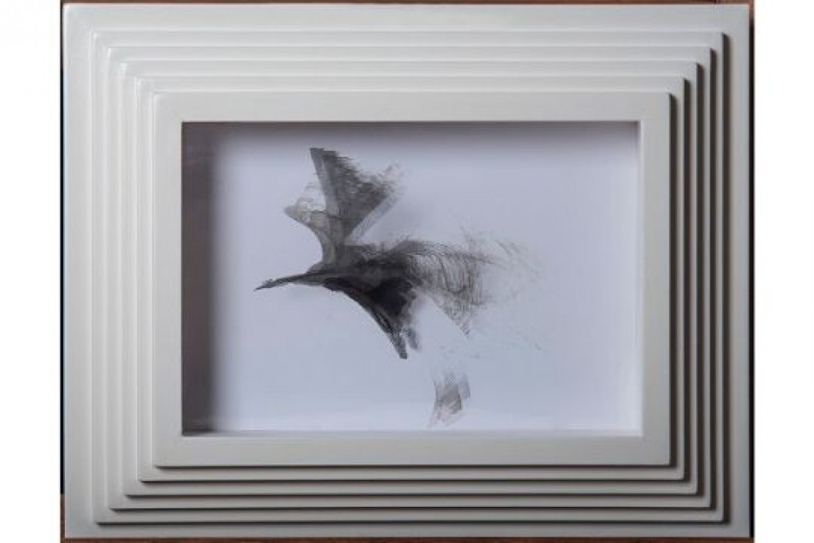 Battito d'ali - Mista - cm 44x55