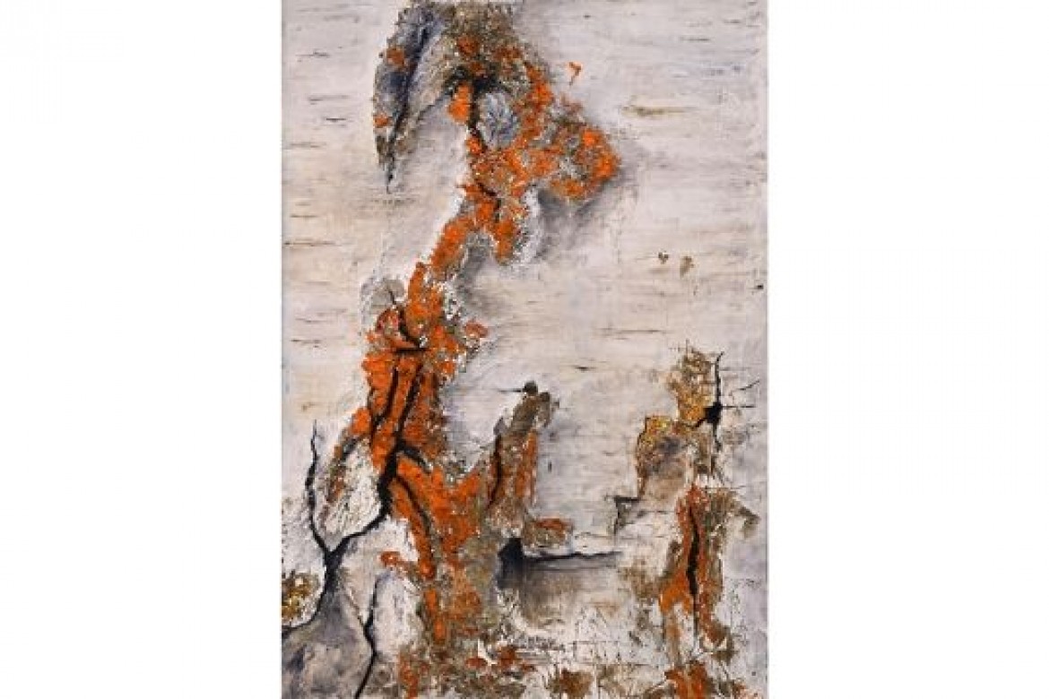 Caloplaca - Mista - cm 35x50