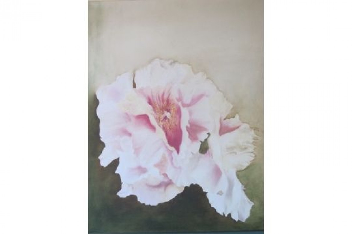 Peonia inno alla vita - Olio su tela - cm 60x70
