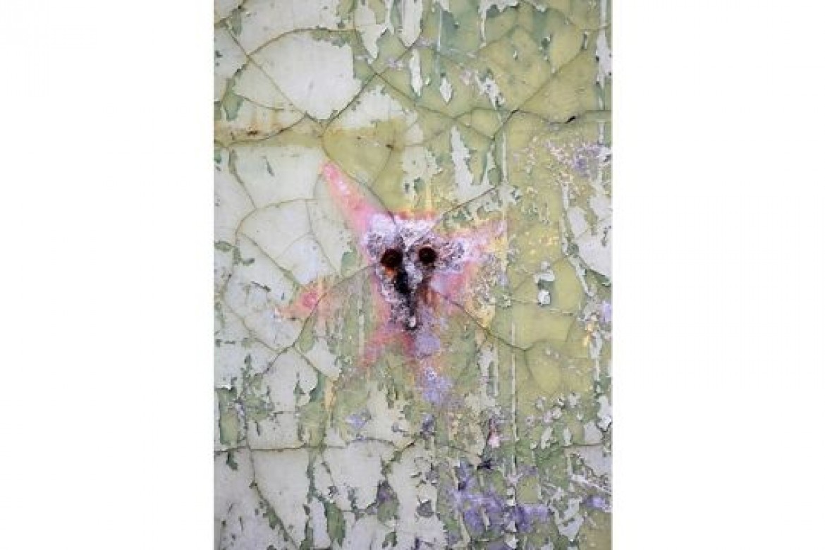 Il Muro - Fotografia - cm 50x65