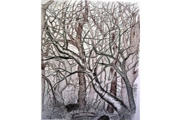 Selva - Tecnica: Inchiostro su carta - Dimensioni: cm 70x50