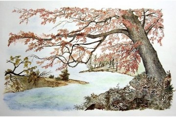 Al fiume - Inchiostri su carta - cm 70x50