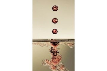 Before the splash - Fotografia - cm 50x70