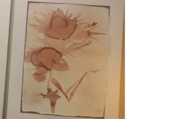 Testa Tra Le Nuvole 2 - Vino su carta