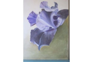 Iris - Evoluzione - Olio su tela - cm 60x70