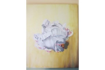 Peonia - Verso la luce - Olio su tela - cm 60x70