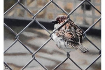 Beyond Chains - Olio su tavola -