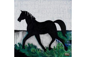 Cavallo Nero - Tecnica: Acrilico su tela