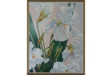 Iris Bianchi - Olio su tela - cm 24x30