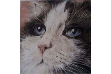 Occhi Blu - Mista - cm 20x20 - € 100.00