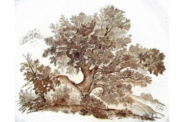 Sughera - Inchiostri su carta - cm 70x50