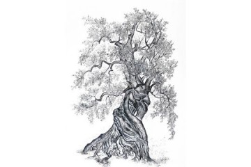 Ulivo - Inchiostri su carta - cm 50x70